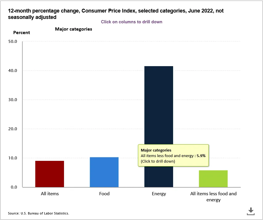Consumer Price Index 12-Month Percentage Change by Category