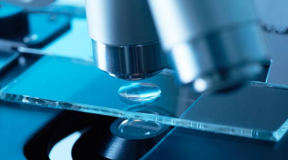 Microscope looking at a slide