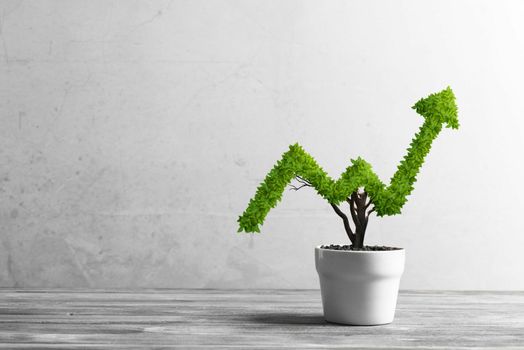 Potted plant in shape of price chart going up and to the right