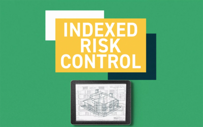 What’s Inside: Indexed Risk Control™ Strategy