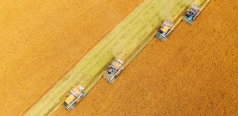 Four harvesters in a field.
